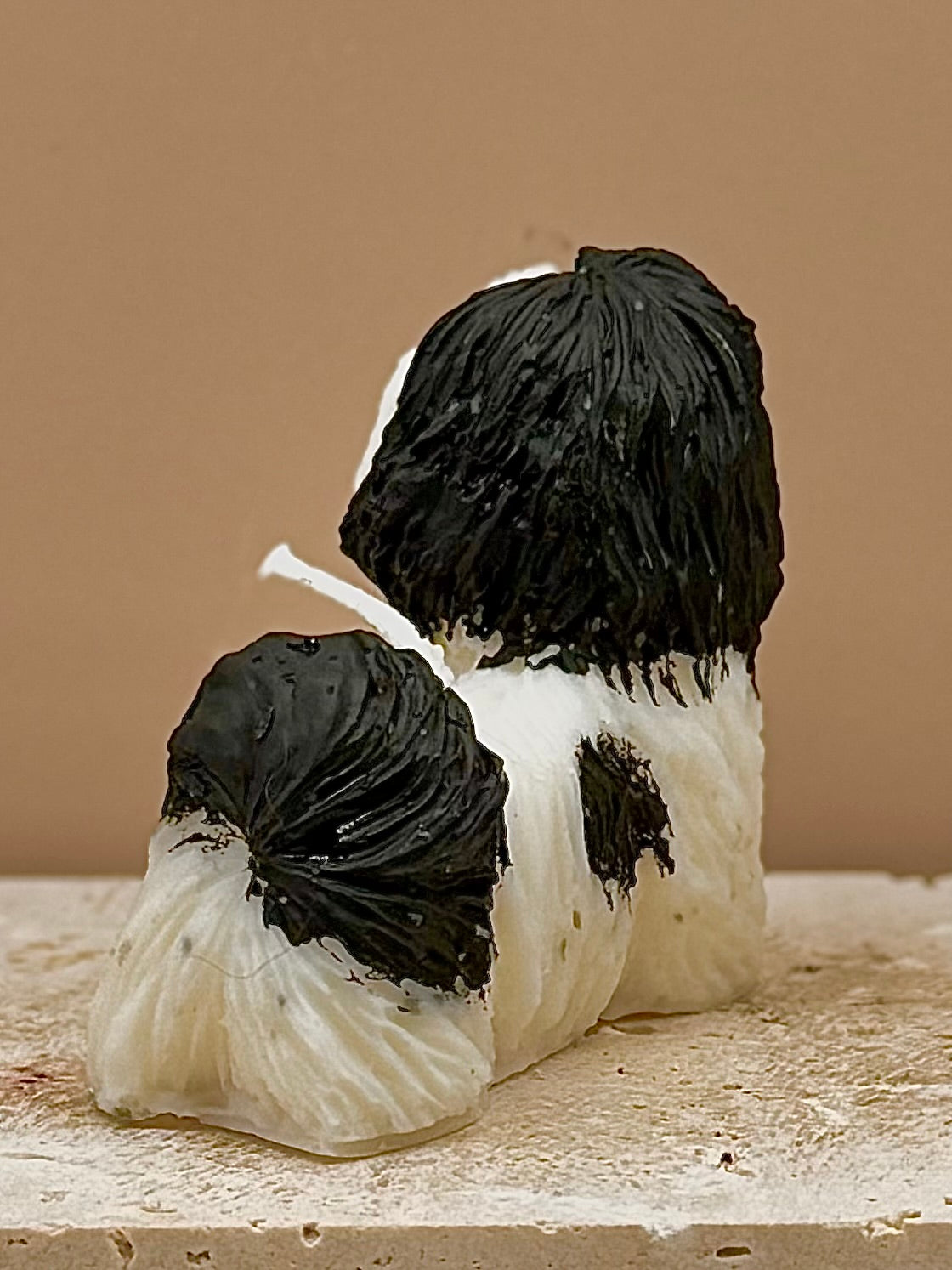 Świeca sojowa wolnostojąca - Shih tzu