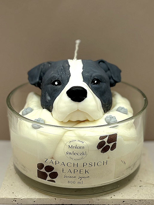 Świeca sojowa o zapachu psich łapek - Amerykański pitbulterier